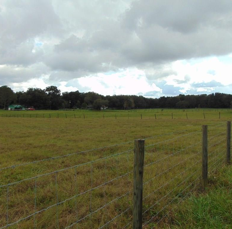 33916  COUNTY ROAD 437  ,SORRENTO,32776