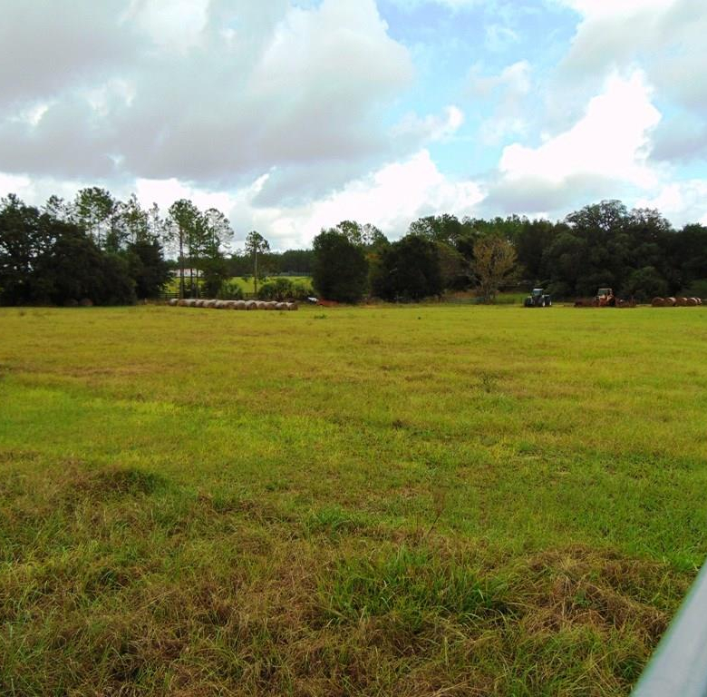 33916  COUNTY ROAD 437  ,SORRENTO,32776