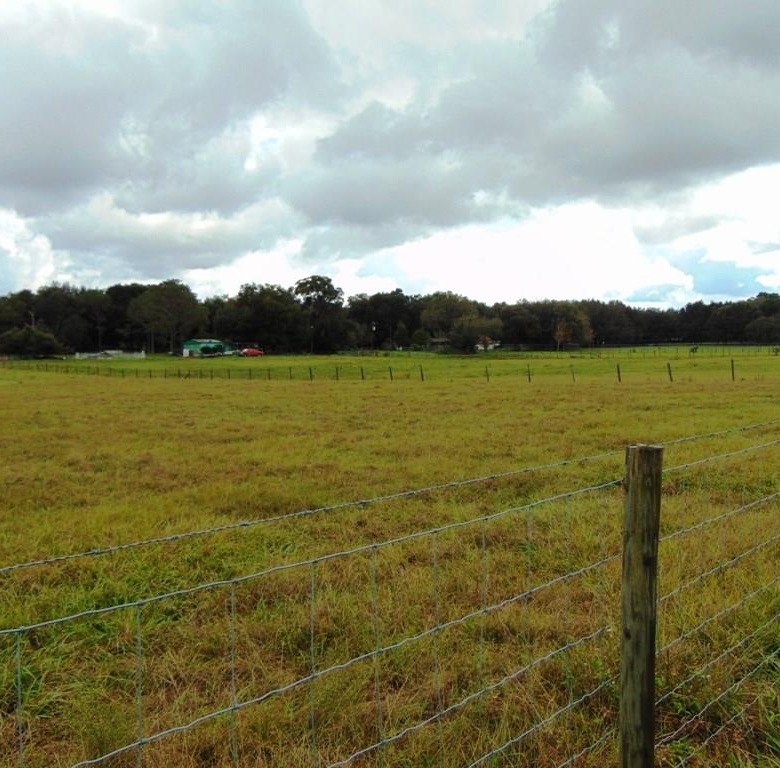 33916  COUNTY ROAD 437  ,SORRENTO,32776