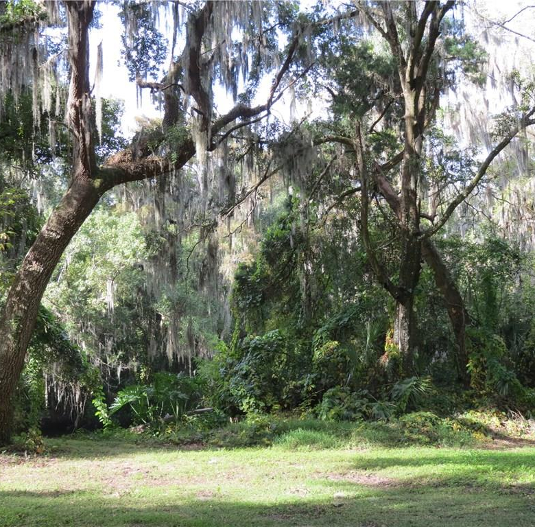 4609  JOHN MOORE RD ,BRANDON,33511