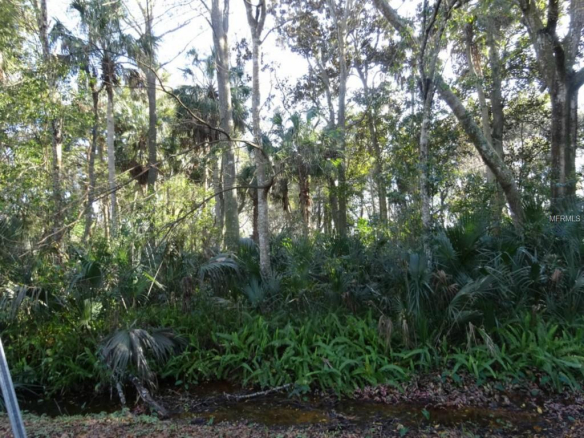 440  KING CHARLES CIR ,DELAND,32724