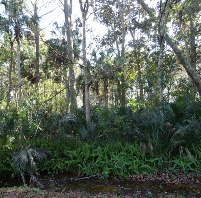 440  KING CHARLES CIR ,DELAND,32724
