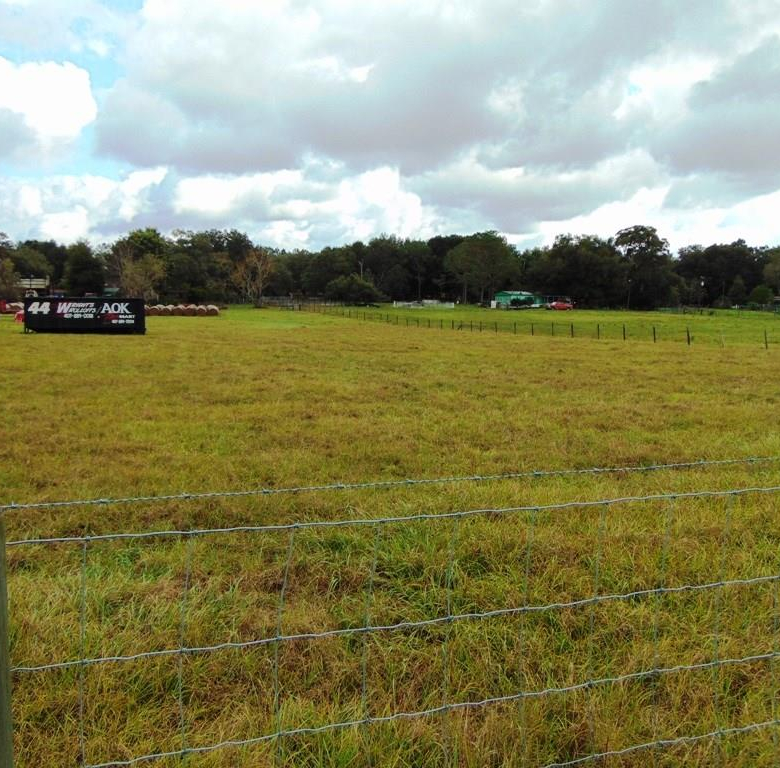 33916  COUNTY ROAD 437  ,SORRENTO,32776