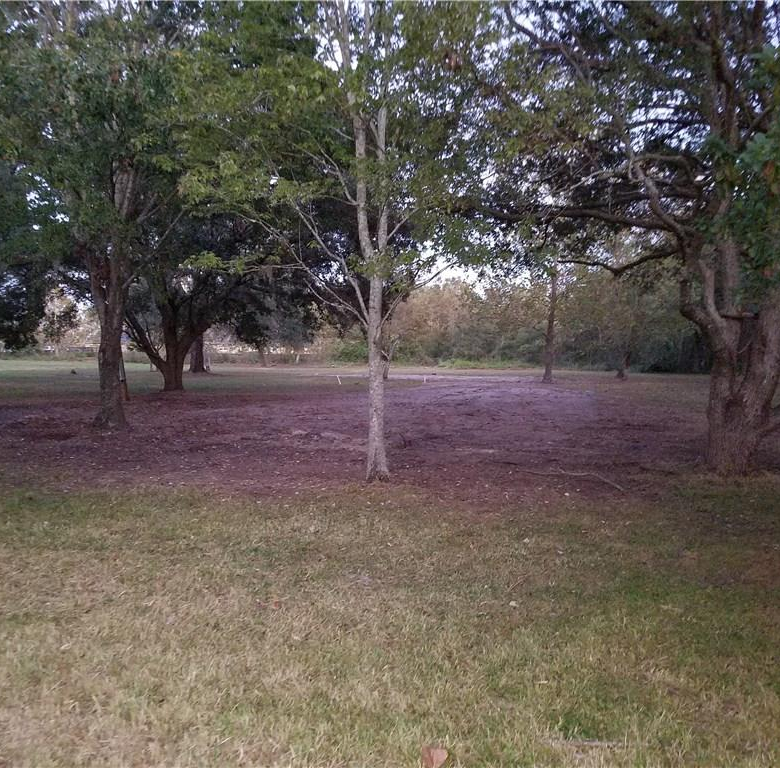 7834,7846 BOYETTE RD,WESLEY CHAPEL,33545
