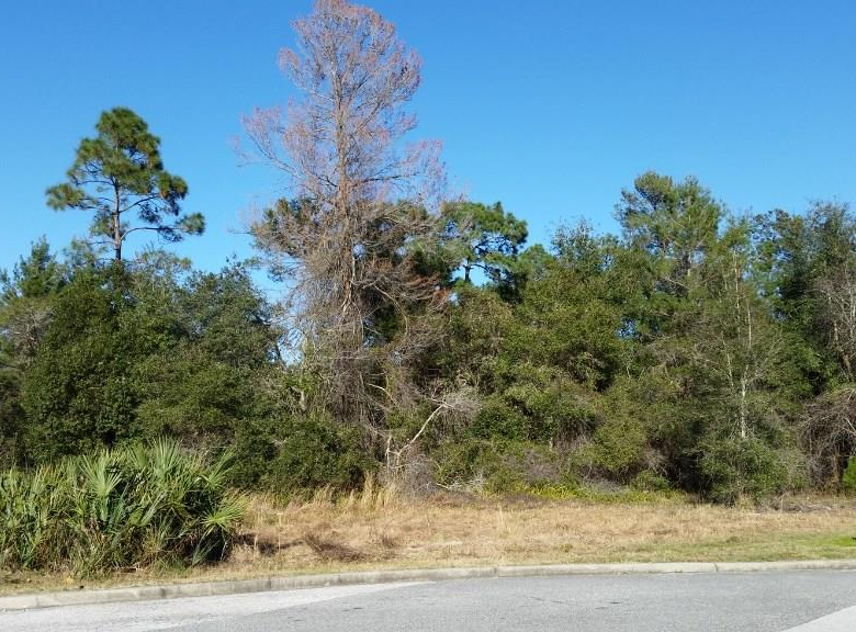 COURTLAND BLVD,DELTONA,32738