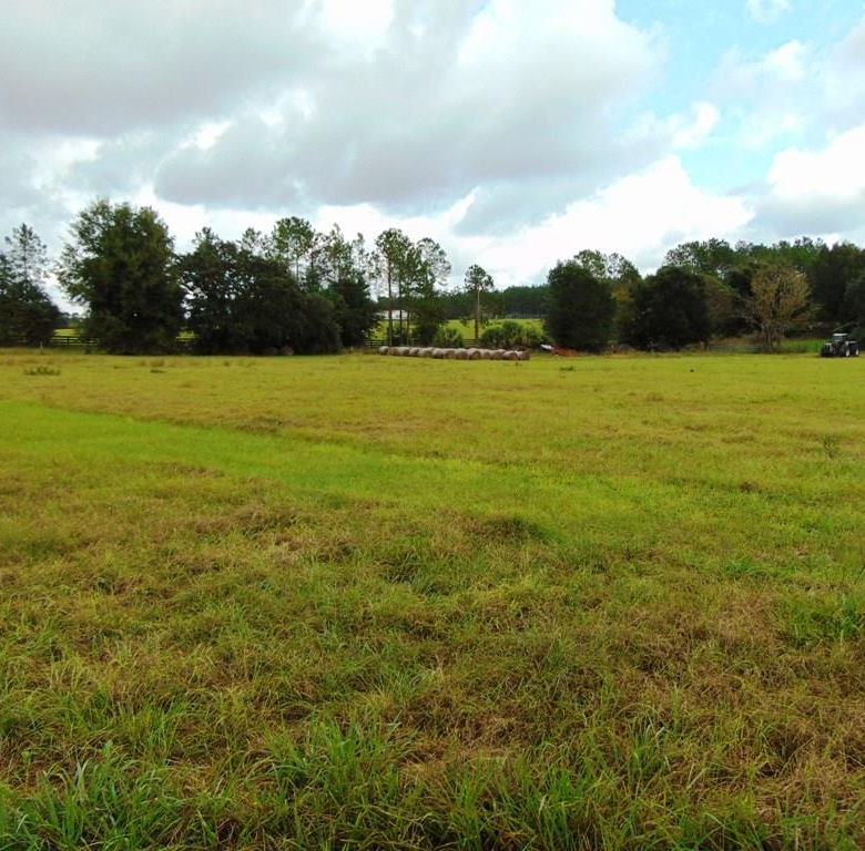 33916  COUNTY ROAD 437  ,SORRENTO,32776