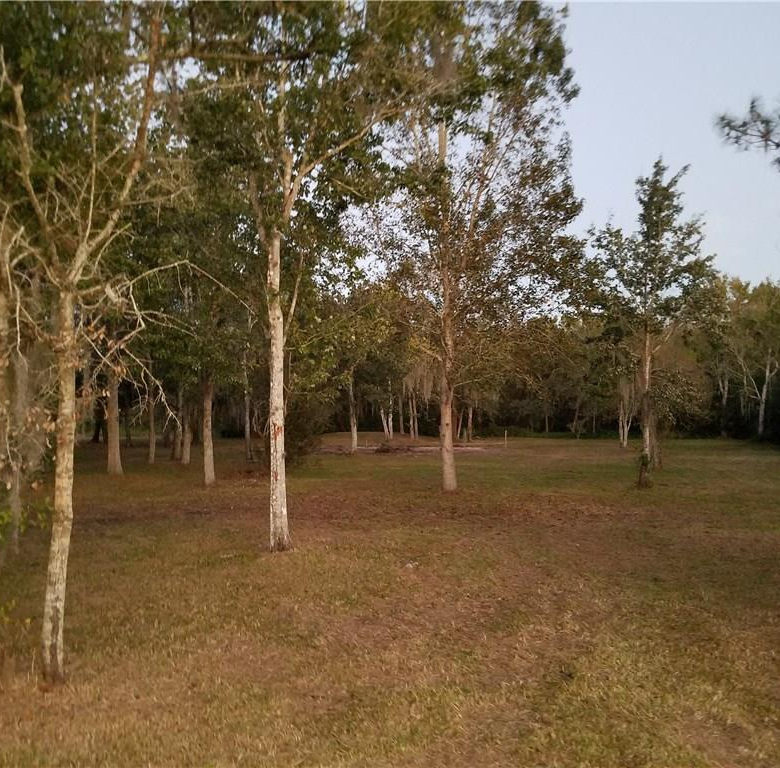 7834,7846 BOYETTE RD,WESLEY CHAPEL,33545