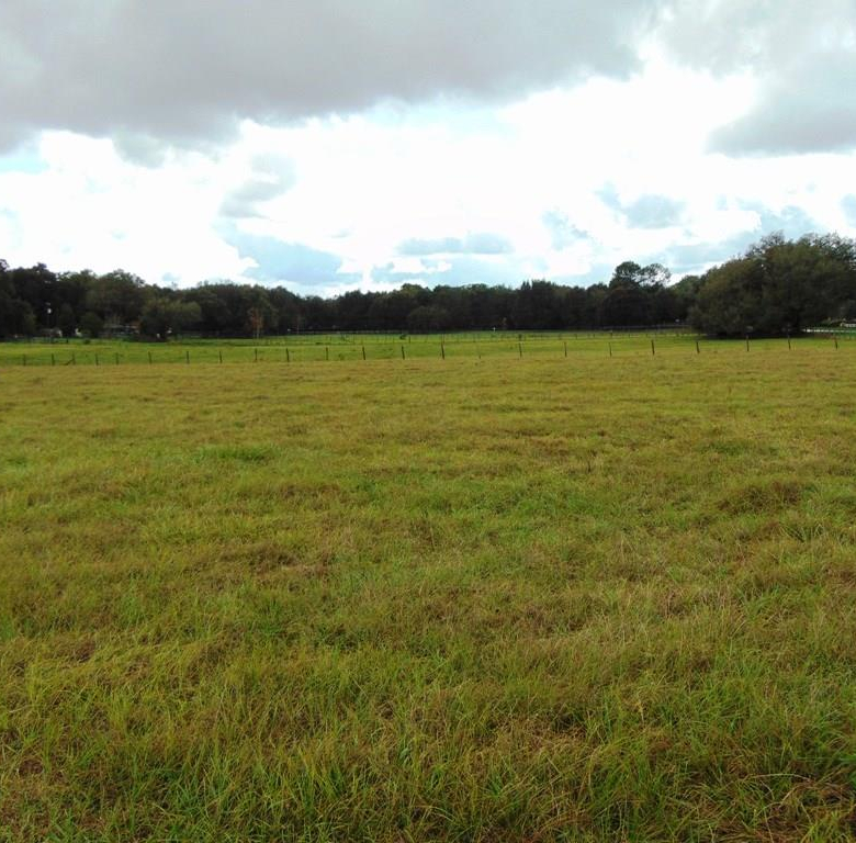 33916  COUNTY ROAD 437  ,SORRENTO,32776
