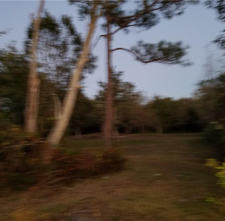 7834,7846 BOYETTE RD,WESLEY CHAPEL,33545