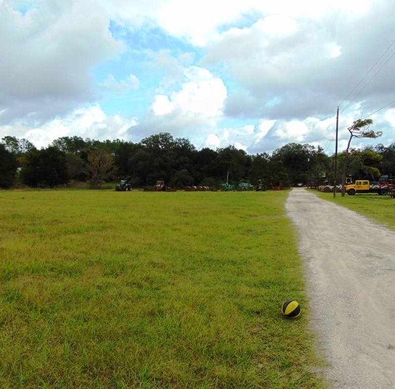 33916  COUNTY ROAD 437  ,SORRENTO,32776