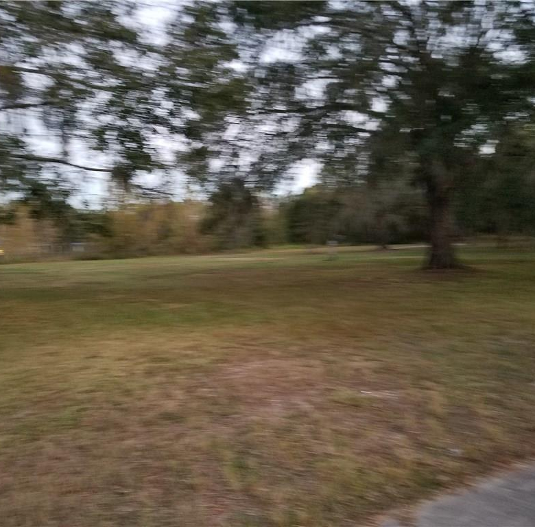 7834,7846 BOYETTE RD,WESLEY CHAPEL,33545
