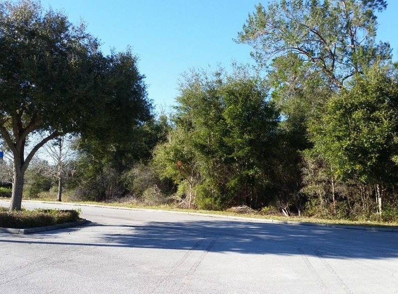 COURTLAND BLVD,DELTONA,32738