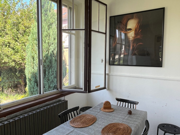 Maison de rapport de 189.57m² à Schiltigheim idéal investisseur rentabilité de 7.13%