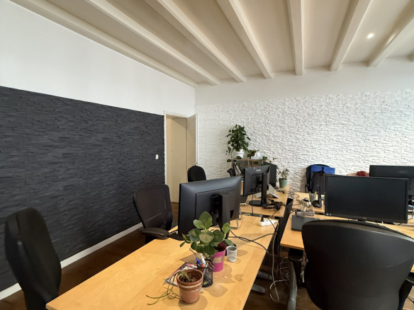 103 m² STRASBOURG CATHEDRALE LOCAL PROFESSIONNEL
