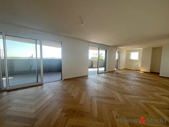 VUE IMPRENABLE SUR LES TOITS DE STRABOURG