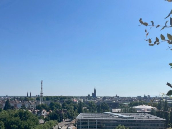 VUE IMPRENABLE SUR LES TOITS DE STRABOURG
