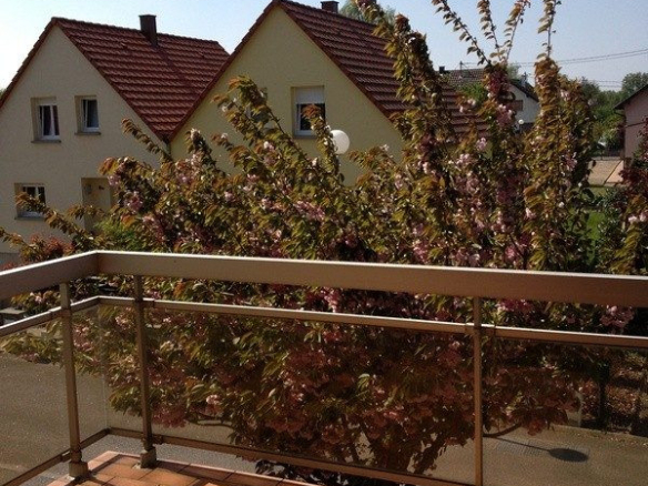 Appartement 3 pièces